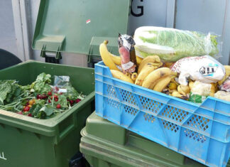 élelmiszer pazarlás, bio hulladék - fenntarthatóság, környezetvédelem