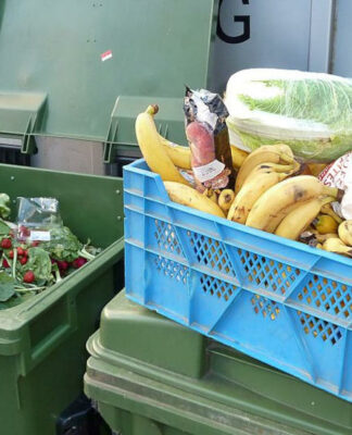 élelmiszer pazarlás, bio hulladék - fenntarthatóság, környezetvédelem