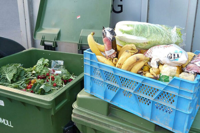 élelmiszer pazarlás, bio hulladék - fenntarthatóság, környezetvédelem élelmiszer pazarlás, bio hulladék - fenntarthatóság, környezetvédelem