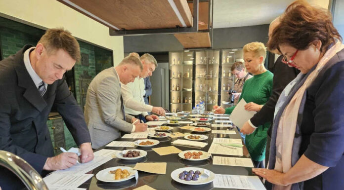 az Év pálinkás bonbonja 2024 verseny - gasztronomia