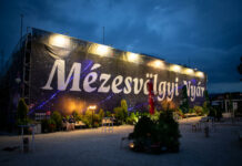 Mézesvölgyi Nyár összművészeti fesztivál 2024 Mézesvölgyi Nyár összművészeti fesztivál