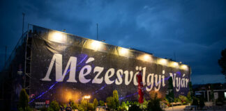 Mézesvölgyi Nyár összművészeti fesztivál