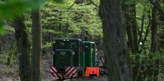 Megújult a szobi kisvasút Szob kisvasút, C50es mozdonyok - turisztika