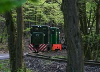 Szob kisvasút, C50es mozdonyok - turisztika