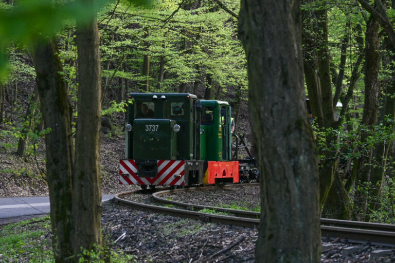 Szob kisvasút, C50es mozdonyok - turisztika