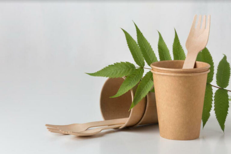Környezetbarát fenntartható csomagolás - gasztro