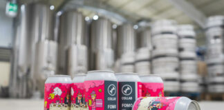 MONYO és a foodora Fun of Missing Out kraft sör - gasztro