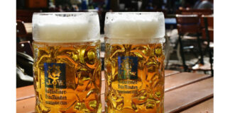 beer, söröskorsó, sörfőzde - gasztro