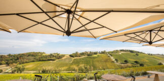 Palazzo di Verignana szálloda, borászat, gasztronómia