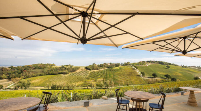 Palazzo di Verignana szálloda, borászat, gasztronómia