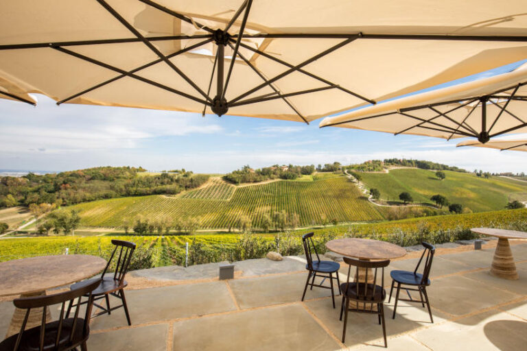 Palazzo di Verignana szálloda, borászat, gasztronómia