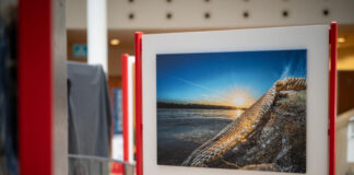 Vizes élőhelyeink természetfotó kiállítás