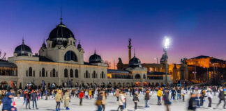 Freeze Fesztivál, Városligeti Műjégpálya