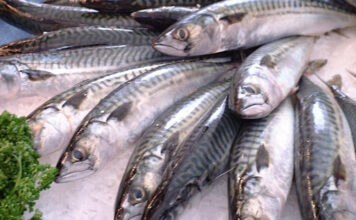 hal, halpiac, halételek - gasztronómia