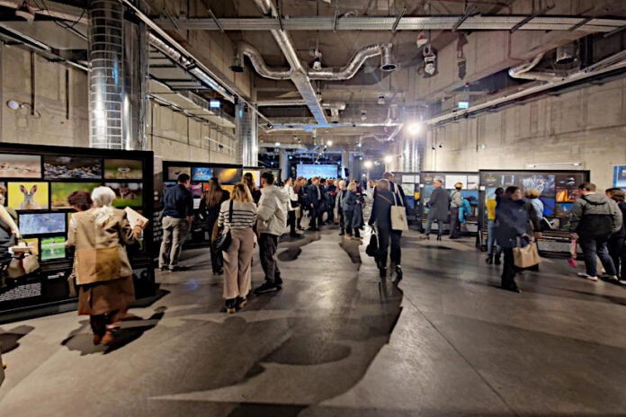 A magyar természetfotó nagydíja 2024, kiállítás A magyar természetfotó nagydíja 2024, kiállítás