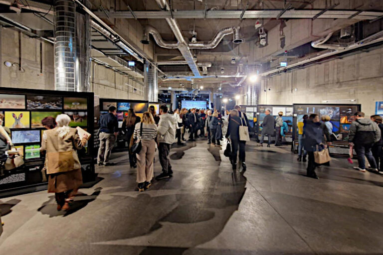 A magyar természetfotó nagydíja 2024, kiállítás