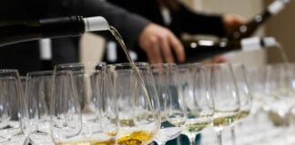 pezsgő, borkostoló, borászat - mate, gasztronómia