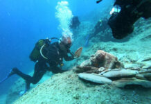 hajóroncs a tengerfenéken a török tengerparton - kultúra, történelem