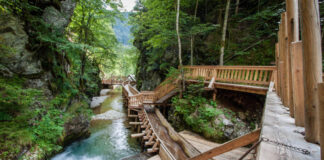 Utazási tippek: őszi úti célok Alsó-Ausztriában Mendlingtal, Göstling an der Ybbs - Alsó-Ausztria - turisztika