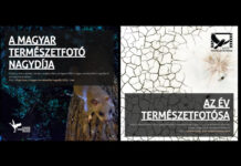 Az év természetfotósa 2025 – díjátadó és kiállítás - kultúra