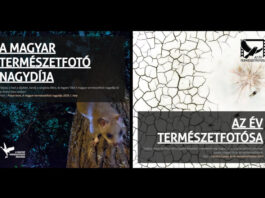 Az év természetfotósa 2025 – díjátadó és kiállítás - kultúra