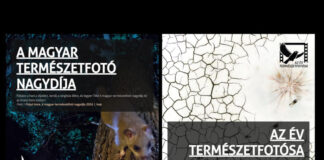 Az év természetfotósa 2025 díjátadó és kiállításmegnyitó Az év természetfotósa 2025 – díjátadó és kiállítás - kultúra