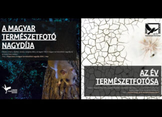 Az év természetfotósa 2025 – díjátadó és kiállítás - kultúra