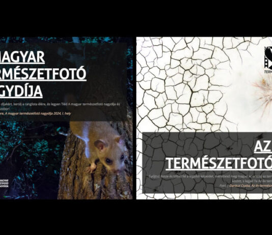 Az év természetfotósa 2025 – díjátadó és kiállítás - kultúra