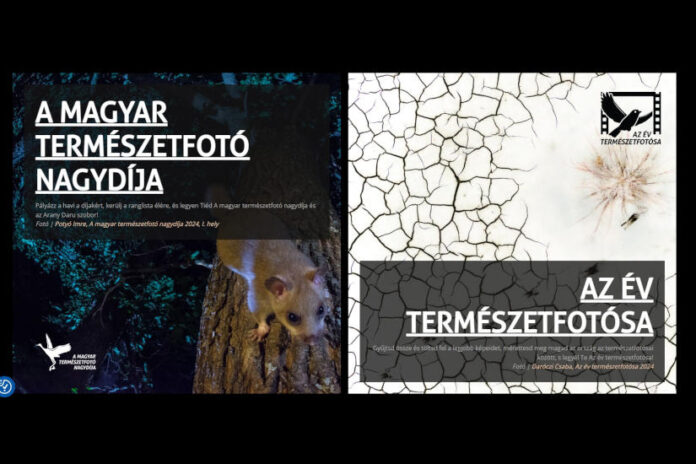 Az év természetfotósa 2025 – díjátadó és kiállítás - kultúra