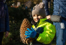 Folly Arboréteum toboz szüret - turisztika