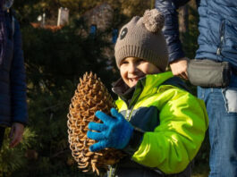 Folly Arboréteum toboz szüret - turisztika