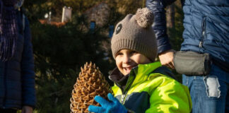 Folly Arboréteum toboz szüret - turisztika