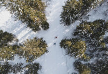 Szlovénia téli sportok, cross-country - turisztika, sport