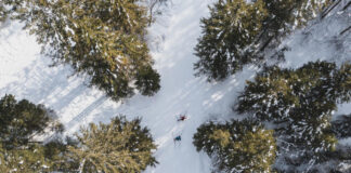 Szlovénia téli sportok, cross-country - turisztika, sport