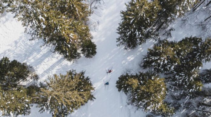 Szlovénia téli sportok, cross-country - turisztika, sport