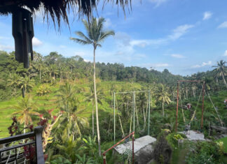 Távol-keleti desztinációk vezetik a magyar körutazási trendeket Bali rizsföld, ázsia - turisztika