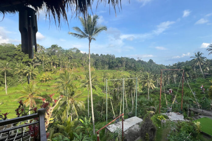 Bali rizsföld, ázsia - turisztika