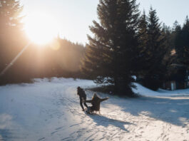Utazási tippek: Szánkózás Alsó-Ausztria hegyein - turizmus